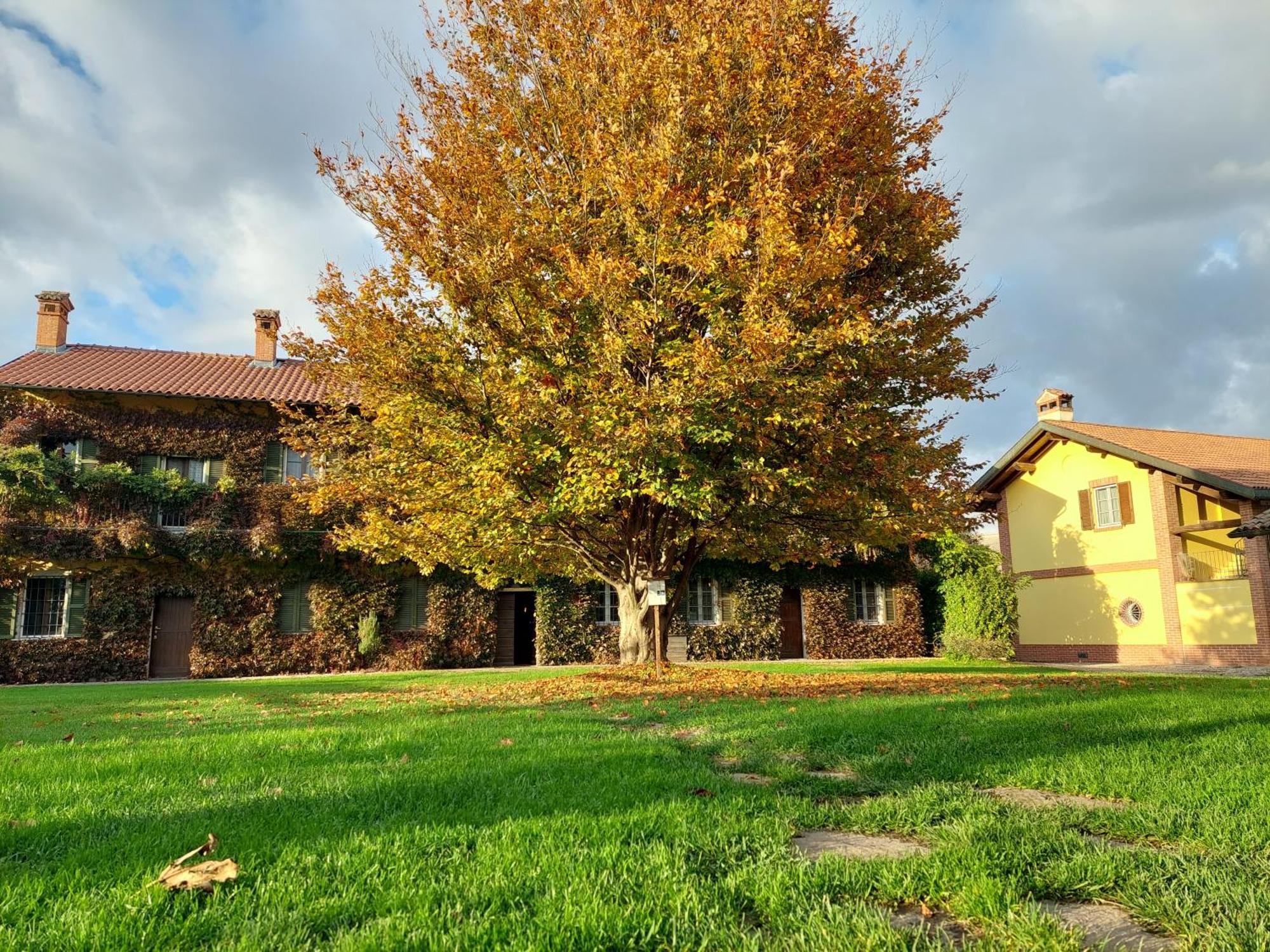 Agriturismo Vignarello Villa Tornaco Exterior photo