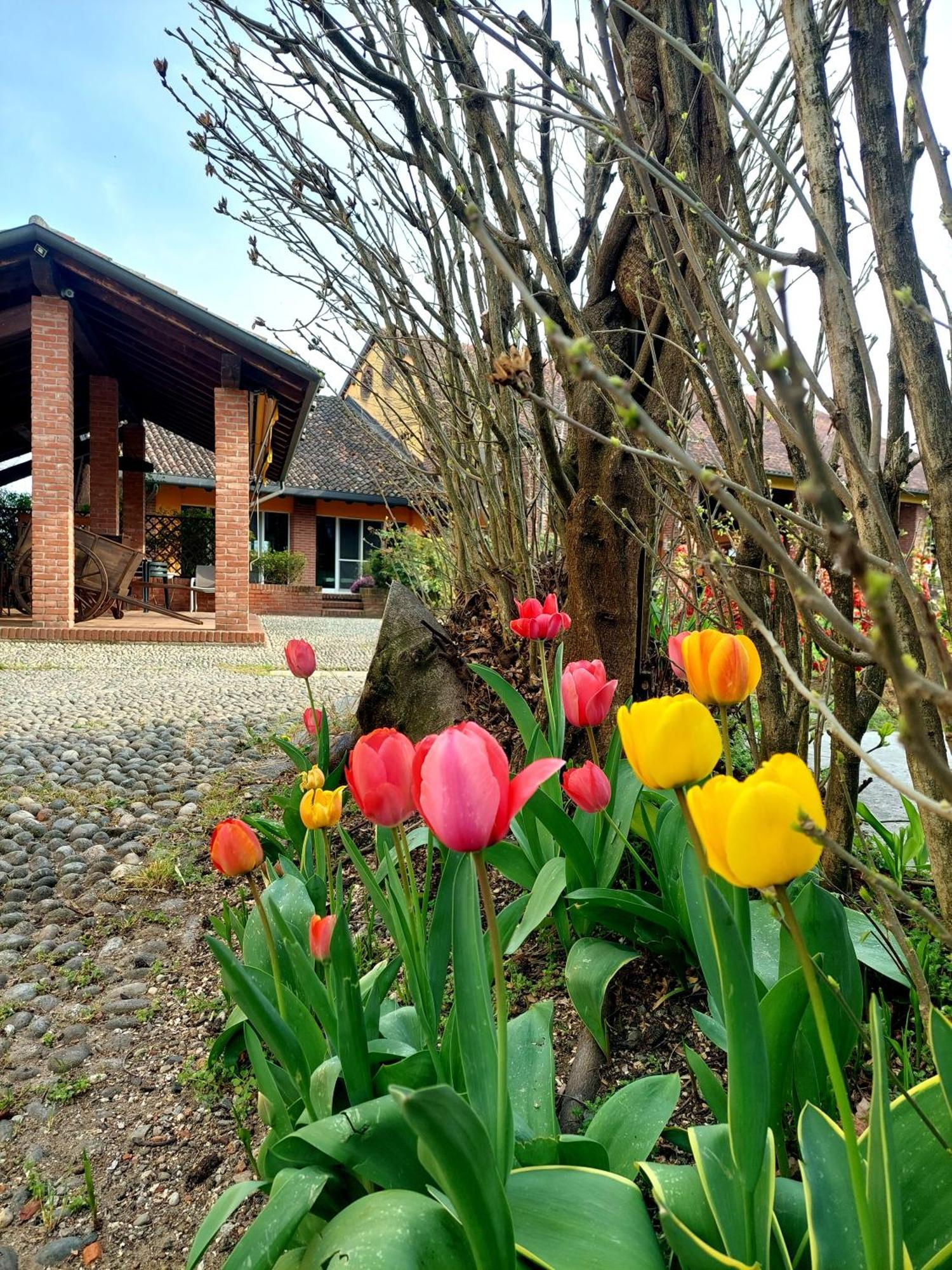 Agriturismo Vignarello Villa Tornaco Exterior photo