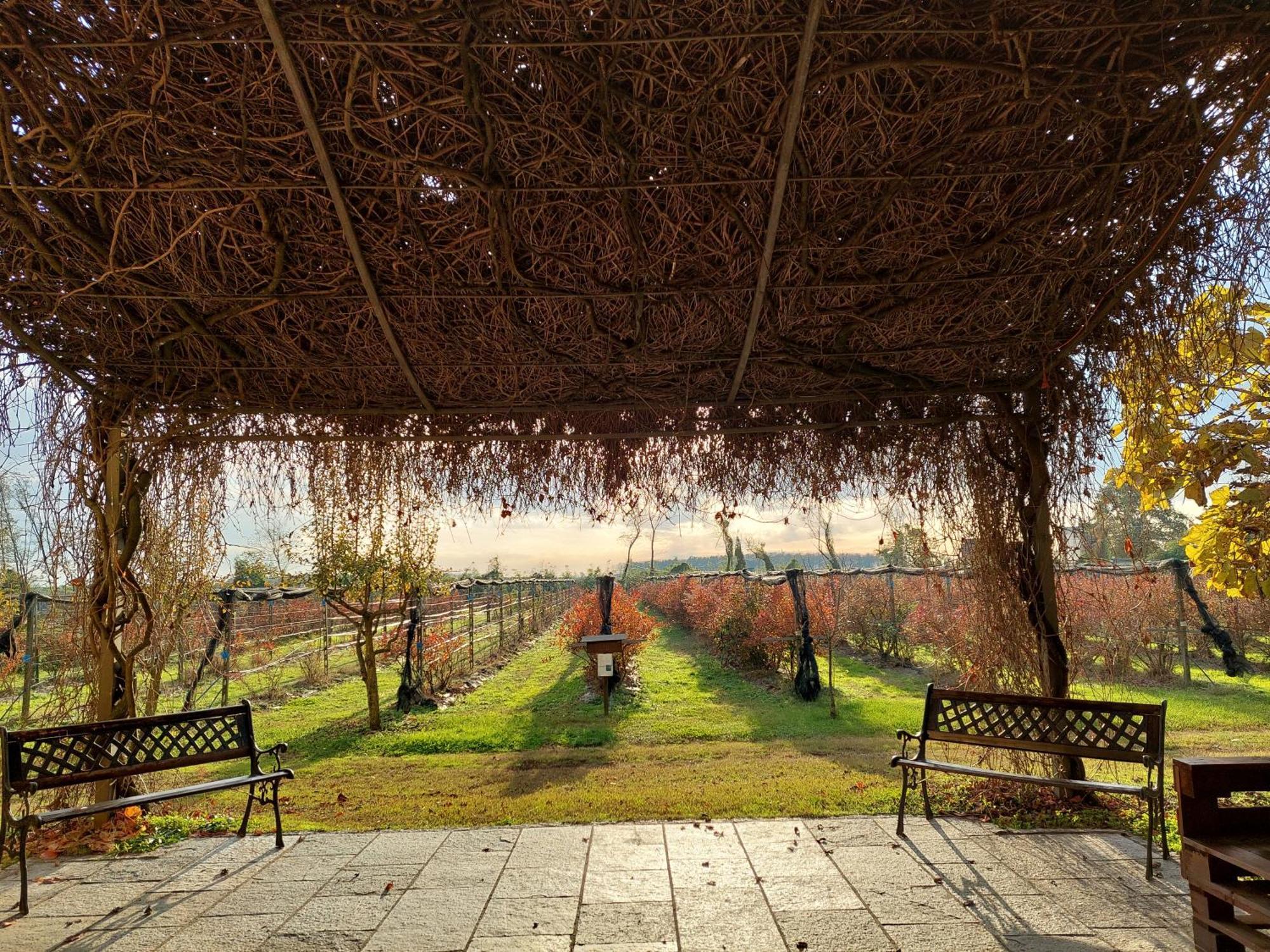 Agriturismo Vignarello Villa Tornaco Exterior photo