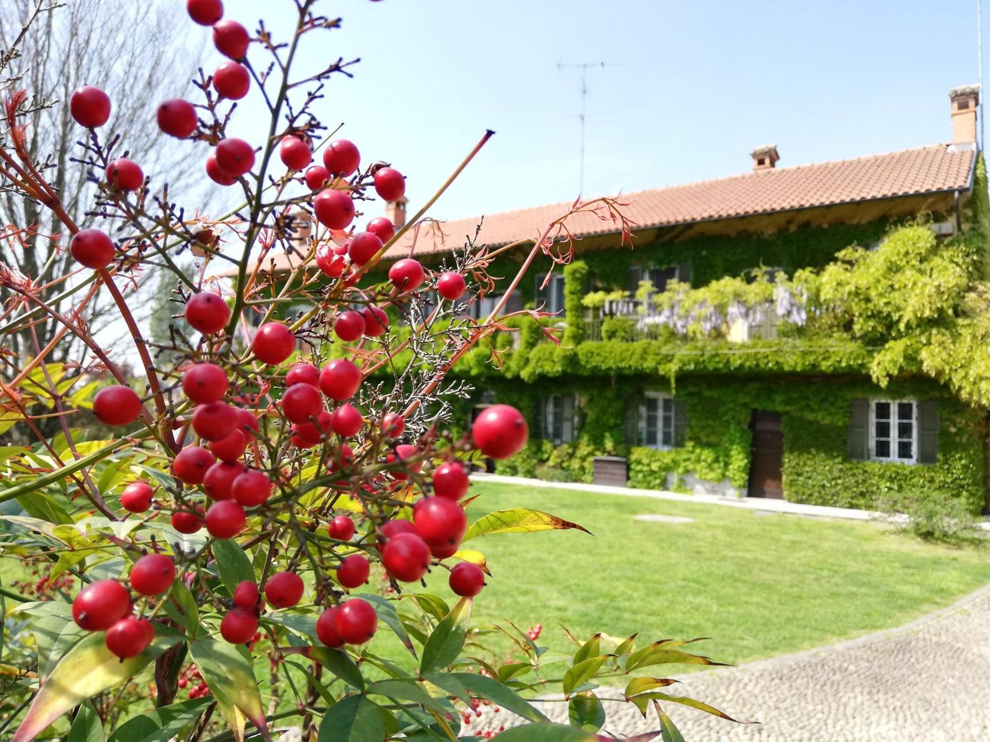 Agriturismo Vignarello Villa Tornaco Exterior photo